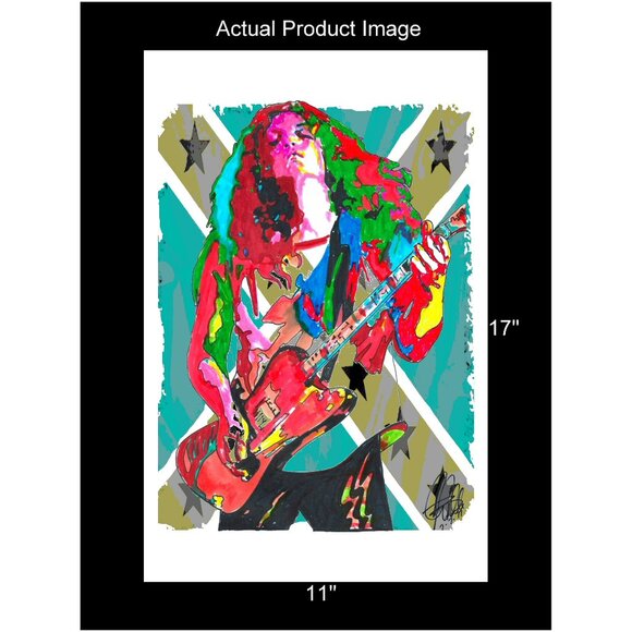 Allen Collins Lynyrd Skynyrd Guitar Rock Music Poster Print Wall Art 11x17 - Picture 2 of 5